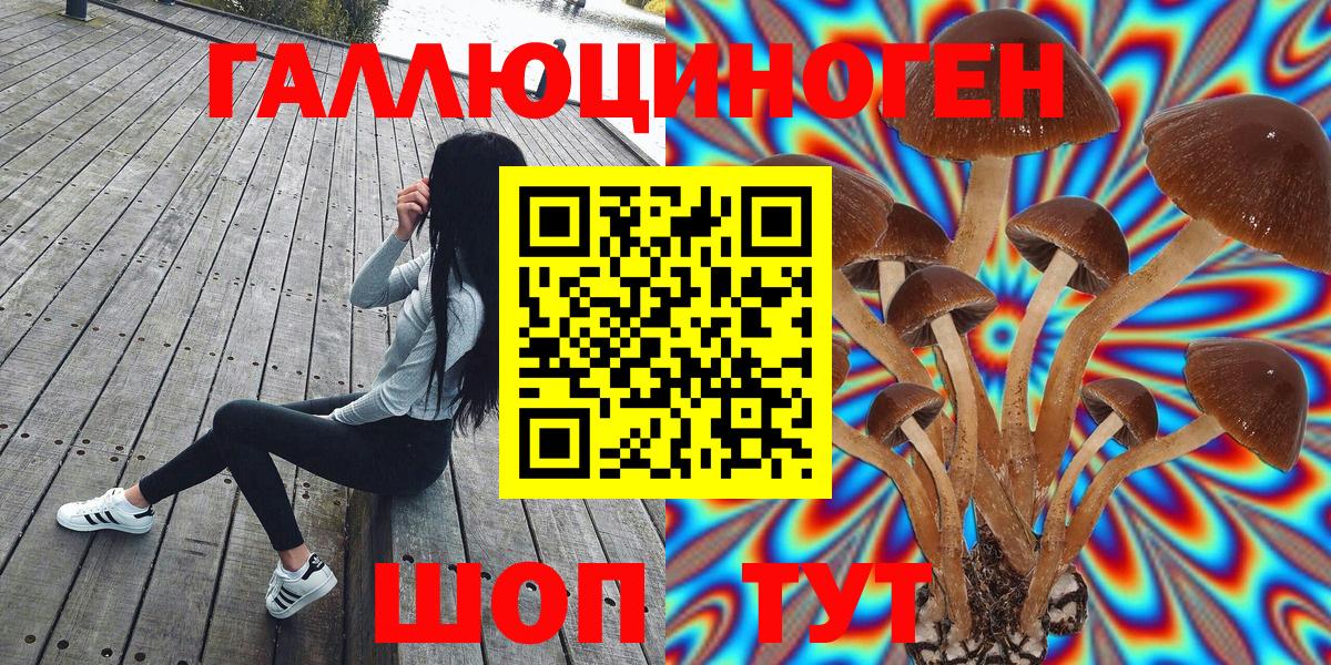 Псилоцибиновые грибы прущие грибы Тихорецк